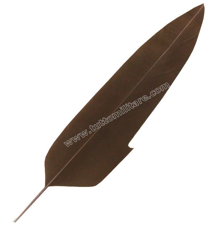 Penna d'Aquila Flessibile Marrone con Rimbecco Cappello Alpino