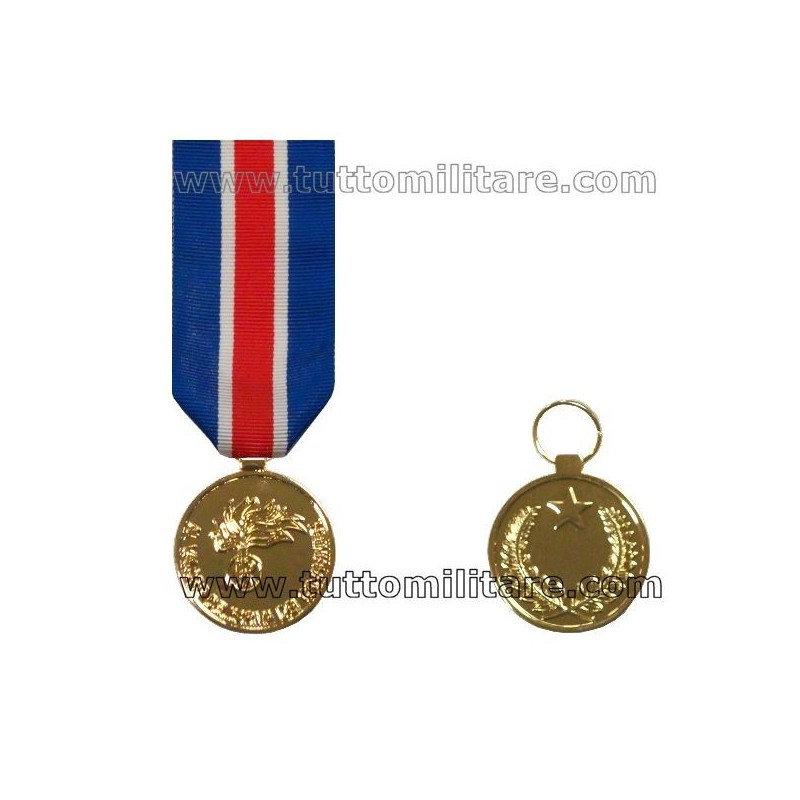 Medaglia Oro Valore Arma Carabinieri