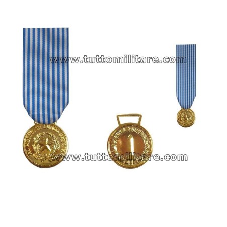 Medaglia Oro Merito Lungo Comando