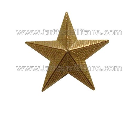 Stella Militare Zigrinata in Metallo Oro a Vite a 5 Punte cm. 2,5