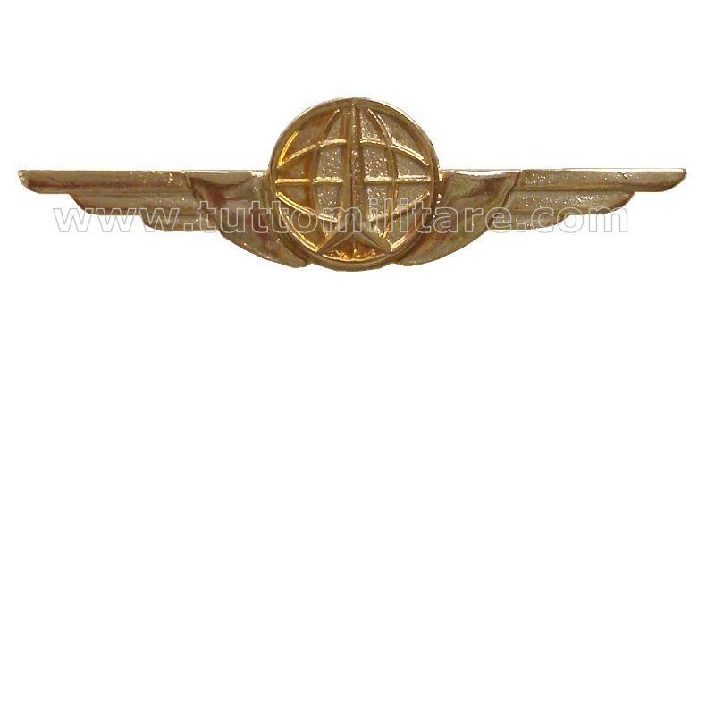 Distintivo Categoria Supporto Operativo Aeronautica