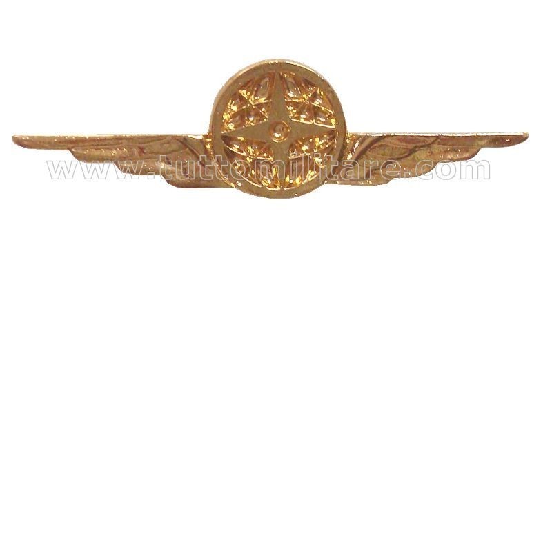 Distintivo Categoria Supporto Logistico Aeronautica