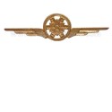 Distintivo Categoria Fisica Aeronautica Militare