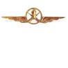 Distintivo Categoria Armamento Aeronautica