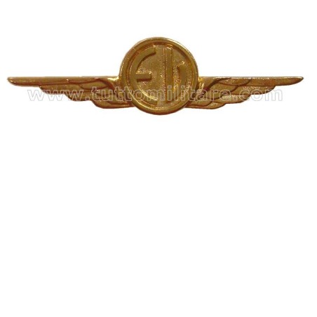 Distintivo Categoria Equipaggi Volo Aeronautica