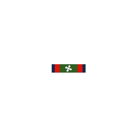 Nastrino Covid Volontari Protezione Civile Regione Lombardia