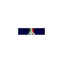 Nastrino Protezione Civile 2° Conferimento 2° Livello