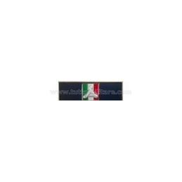 Distintivo Metallo Argento Protezione Civile 2° Conferimento II Livello