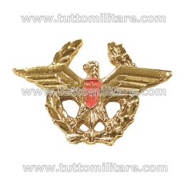 Distintivo Metallo Dorato Corso Superiore Stato Maggiore Brevetto Master