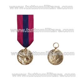 Medaglia Bronzo Difesa Nazionale Francese Medaille de La Defence Nationale Francaise