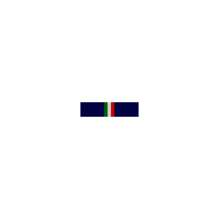 nastrino-protezione-civile-1-conferimento-iii-livello-nastrini-formato