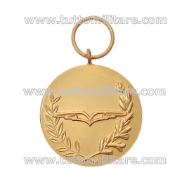 Fronte della Medaglia d'Oro al Merito Lunga Attività di Volo Personale Specialista Carabinieri