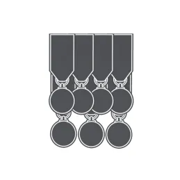 Medagliere 7 Posti completo di  Attacco Posteriore