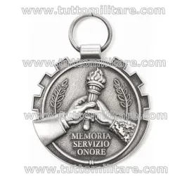 Retro Medaglia del Veterano della Difesa