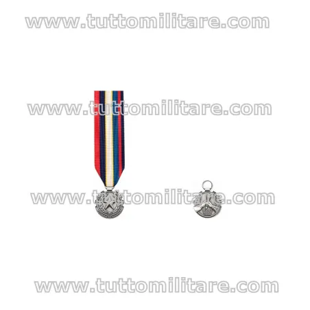 Medaglia mignon Veterano della Difesa completa di nastro da 20 mm