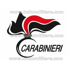 Dettaglio fiamma e scritta Carabinieri sulla T-Shirt bianca