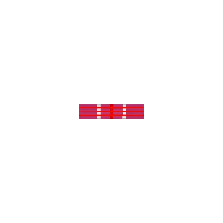 Nastrino Defence Partner III Classe Romania – 37 mm